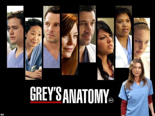 Grey's Anatomy 1ª Temporada – HDTV Dublado Torrent Download (2005)