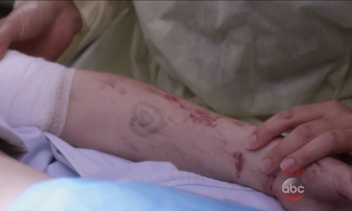Greys-Anatomy-season-premiere